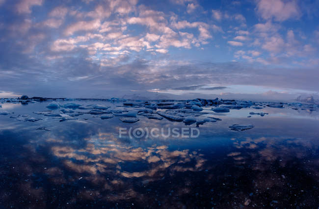 Шматочки льоду в озері — стокове фото