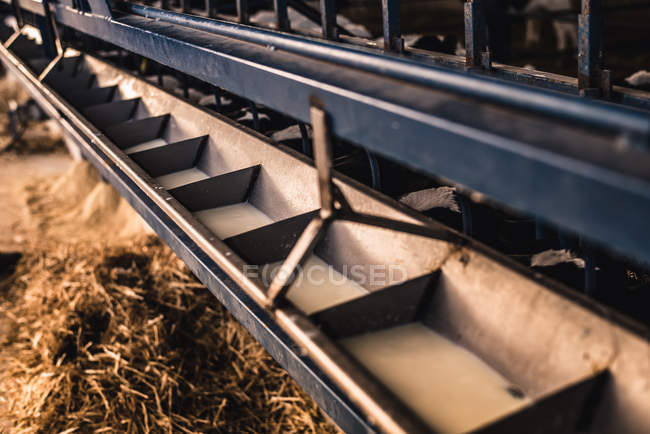 Milch in Fütterungsmaschine gegossen — Stockfoto