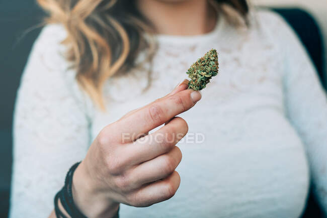Femme tenant une plante de marijuana — Photo de stock