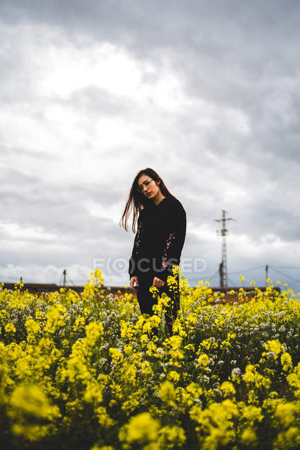 Mujer de pie en el césped con flores amarillas - foto de stock