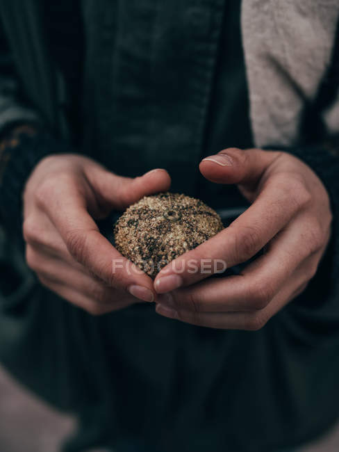 Человеческие руки держат моллюсков — стоковое фото