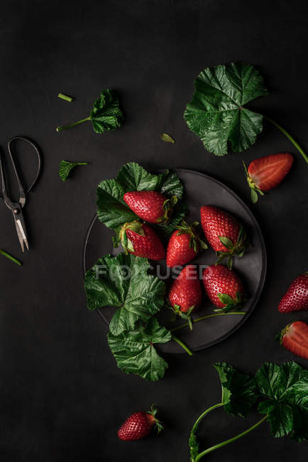 Assiette de fraises fraîches — Photo de stock