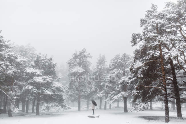 Woman with umbrella standing in winter — Stock Photo