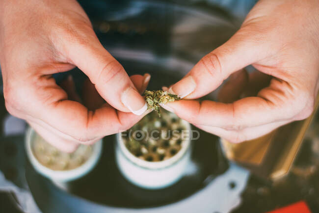 Женщина готовит марихуану. — стоковое фото