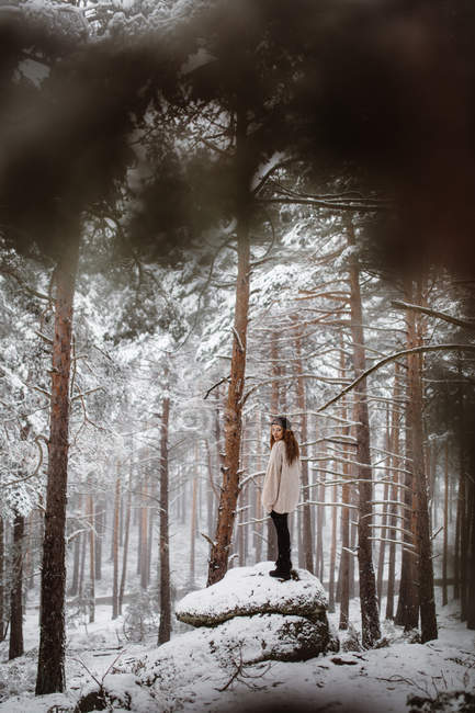 Жінка стоїть на скелі в засніженому лісі — стокове фото