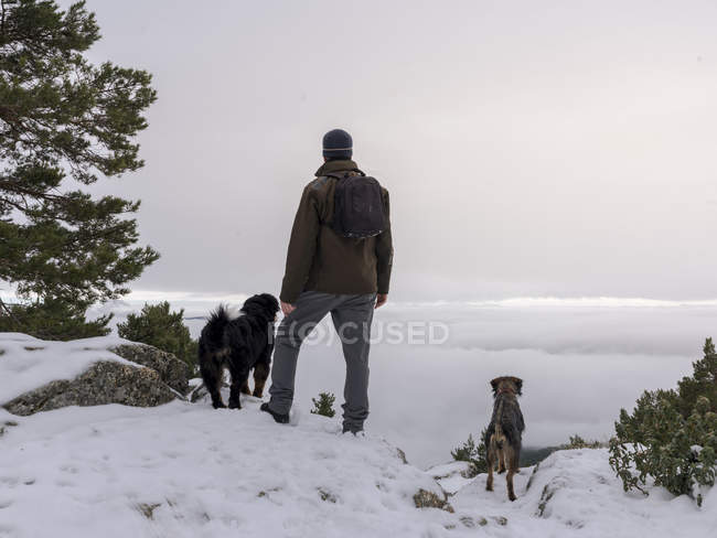 Hiker and dogs in snowy mountains — Stock Photo