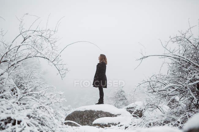 Femme debout sur le rocher dans la forêt enneigée — Photo de stock