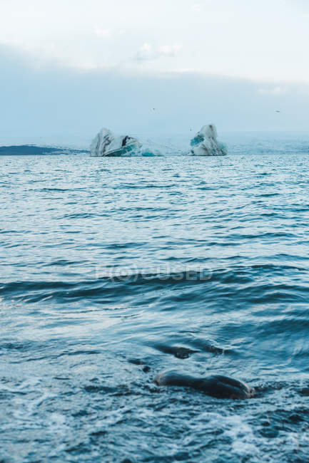 Айсберги у воді на заході сонця — стокове фото