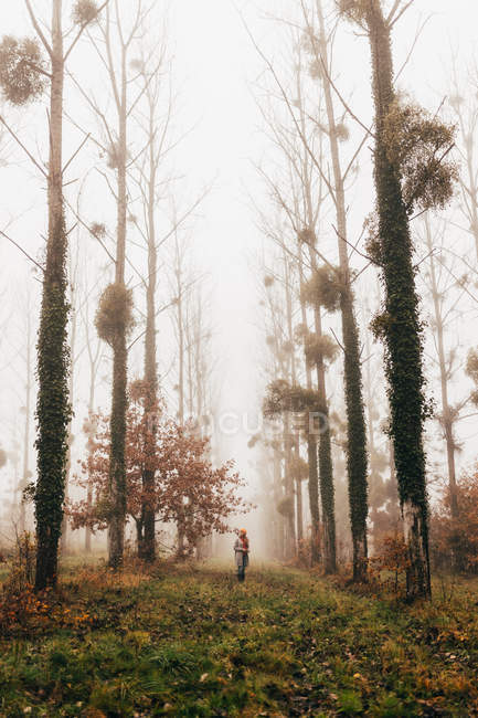 Donna in piedi nella foresta nebbiosa — Foto stock
