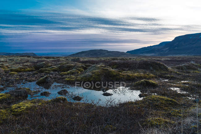 Remote bog and hills — Stock Photo
