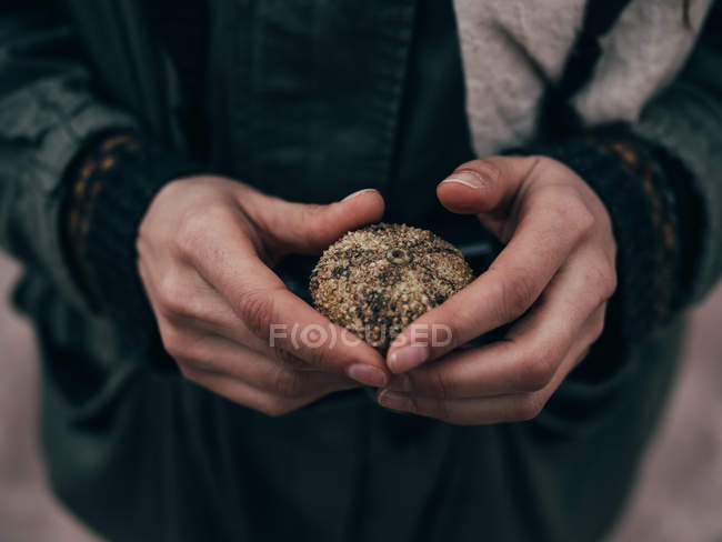 Hände aus nächster Nähe mit Muschel — Stockfoto