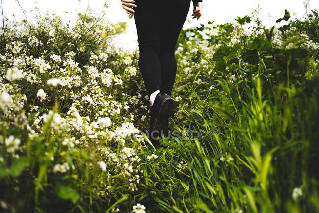 Жіночі ноги в зеленій траві — стокове фото