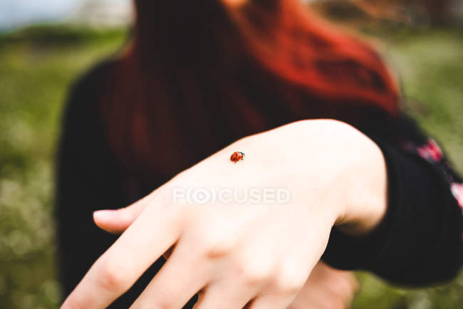 Coccinella sulla mano femminile — Foto stock