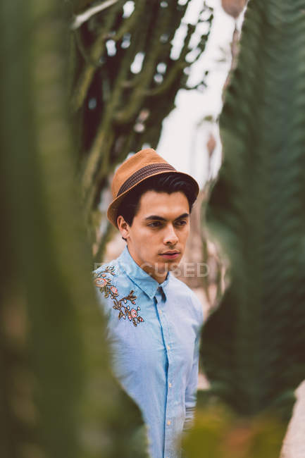 Man with hat standing at cactus — Stock Photo