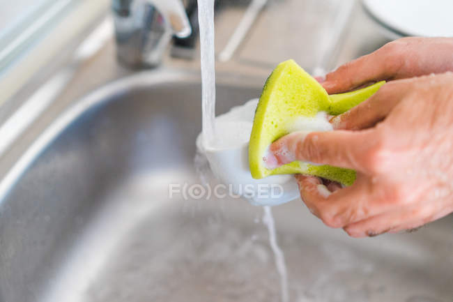 Mãos copo de lavagem com esponja — Fotografia de Stock