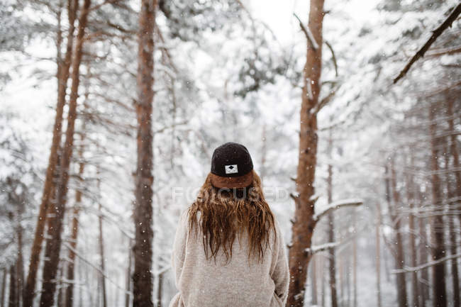 Женщина в шапке в снежном лесу — стоковое фото