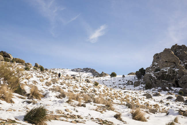 Сніговий гірський схил взимку з блакитним небом і пішим туристом на фоні — стокове фото