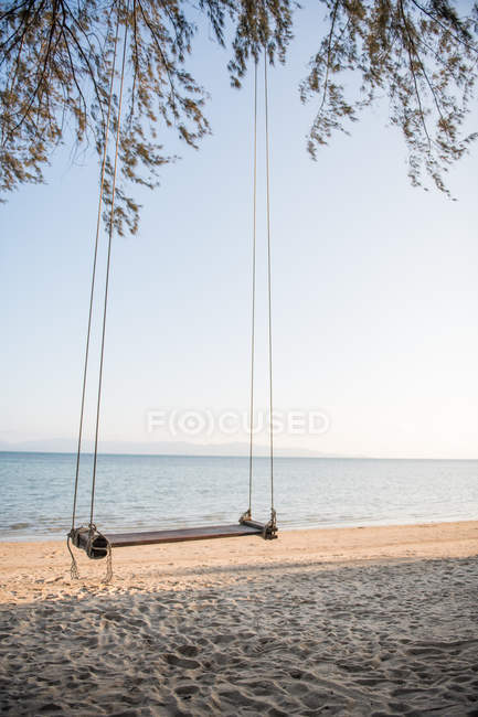 Качели висят на дереве на пляже — стоковое фото