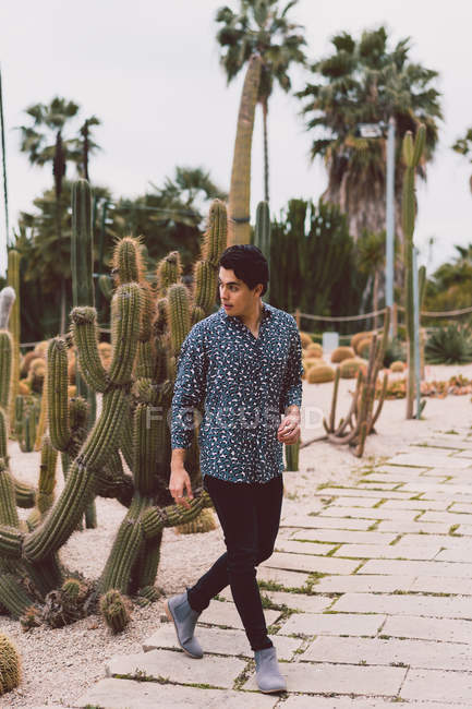 Hombre caminando en cactus en jardín - foto de stock