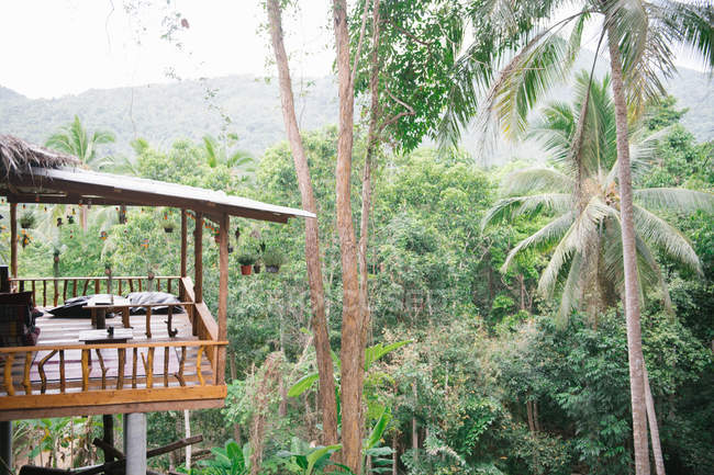 Дерев'яна тераса в джунглях — стокове фото