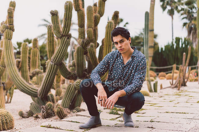 Hombre sentado en el cactus - foto de stock