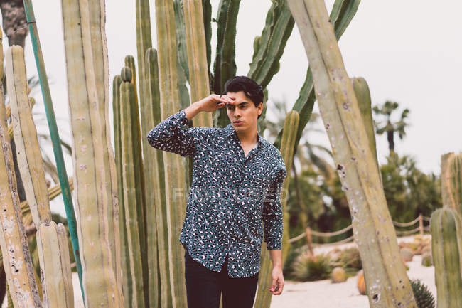Uomo in piedi al cactus — Foto stock
