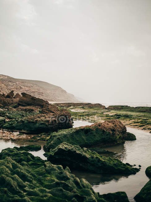 Камни, покрытые зеленым мхом — стоковое фото