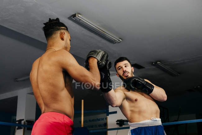 Men putting on gloves on ring — Stock Photo