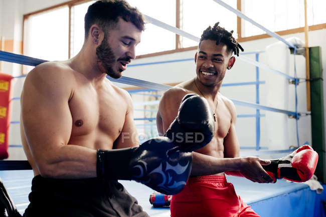 Hombres musculosos poniéndose guantes de boxeo - foto de stock