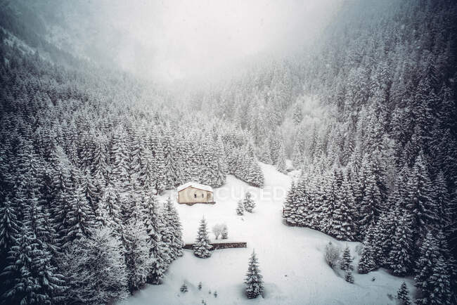 Cottage cercado por pinheiros em paisagem de neve. — Fotografia de Stock