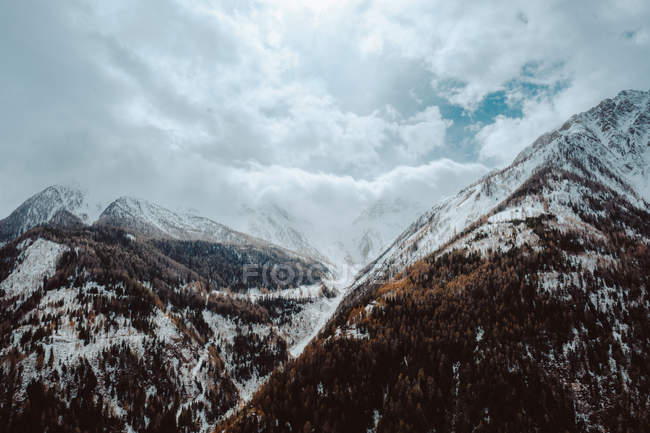 Лес и горы, покрытые снегом — стоковое фото