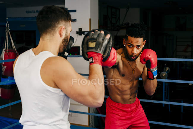 Muscular multiracial men training and boxing — Stock Photo