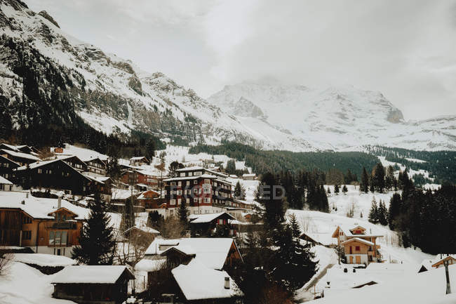 Maisons de village couvertes de neige — Photo de stock