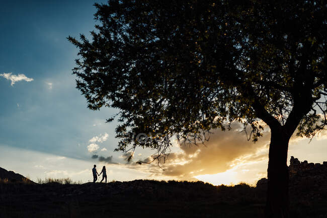 Silhouette di coppia irriconoscibile che cammina verso un grande albero e si tiene per mano nelle luci del tramonto. — Foto stock
