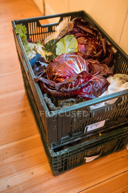 Boîte remplie de légumes frais — Photo de stock