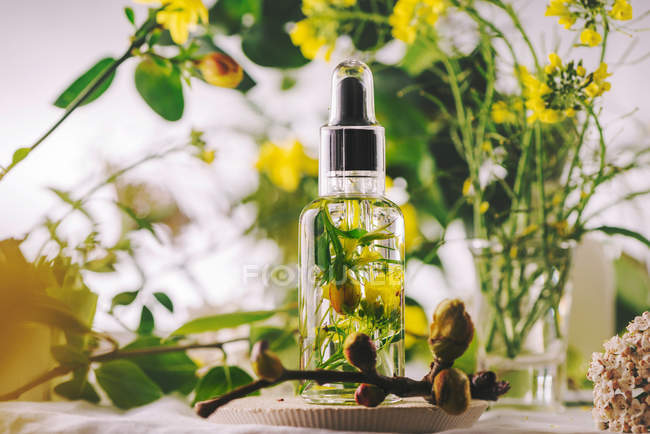 Olio essenziale con fiori ed erbe aromatiche — Foto stock