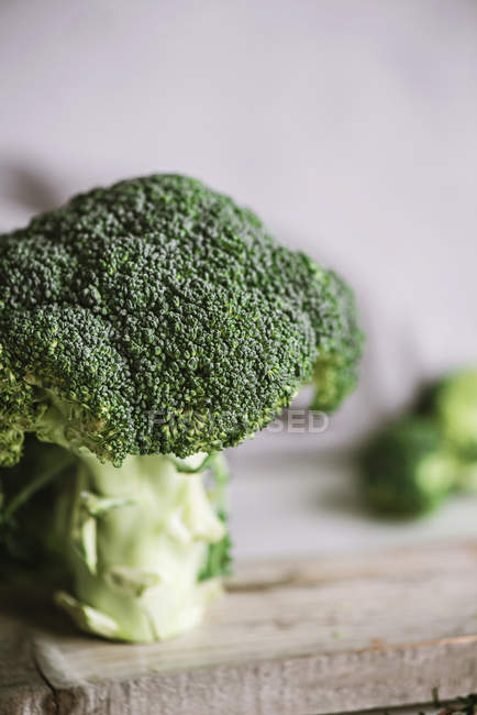 Fresh broccoli floret — Stock Photo