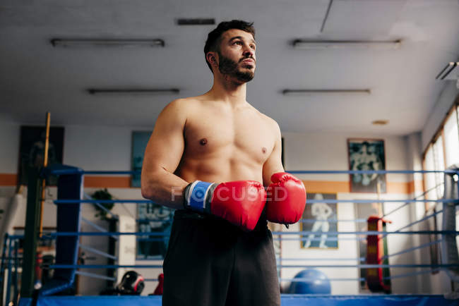 Muskulöser Mann mit Handschuhen im Fitnessstudio — Stockfoto