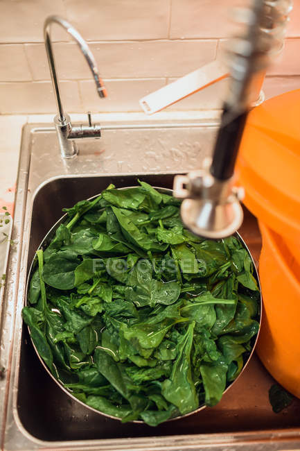 Spinach in kitchen sink — Stock Photo