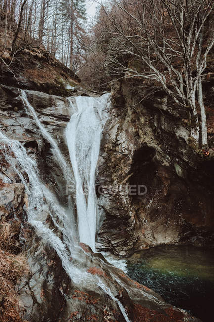 Cascada y río fluyendo en el bosque - foto de stock