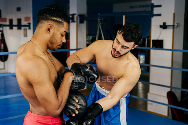 Men putting on gloves in ring — Stock Photo
