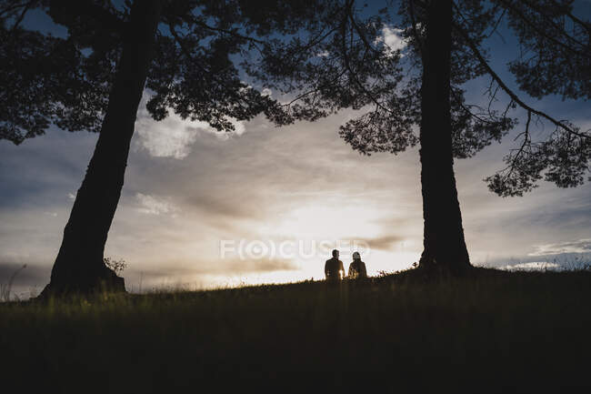 Силует пари цілується на драматичному заході сонця близько до дерева — стокове фото