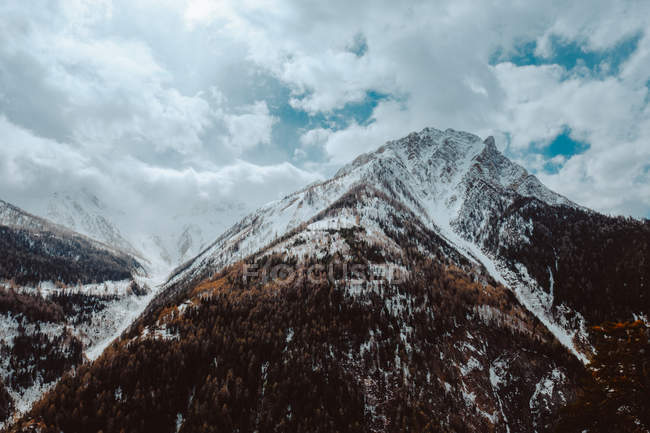 Forêt à feuilles persistantes et montagnes couvertes de neige — Photo de stock
