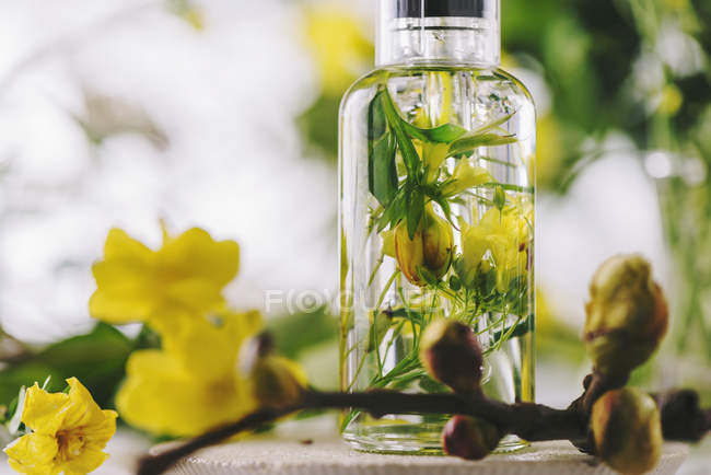 Essential oil with flowers and herbs — Stock Photo