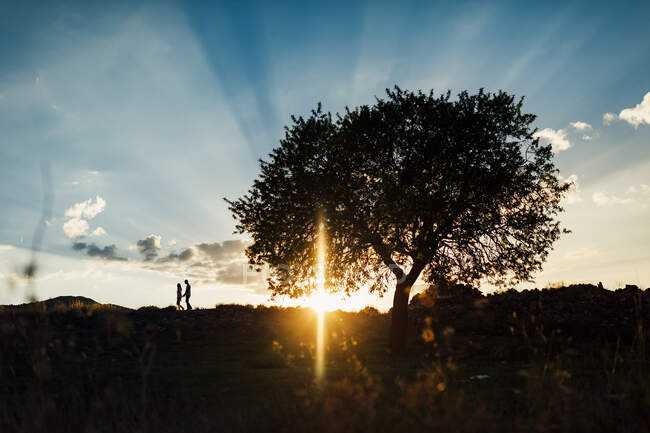 Silueta de una pareja caminando al atardecer cerca de un árbol - foto de stock