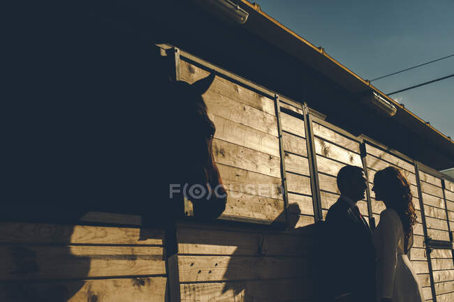 Aufnahme der Silhouette eines Paares, das im Garten am Haus steht. — Stockfoto