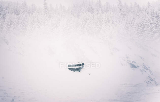Cabana solitária na paisagem de neve. — Fotografia de Stock