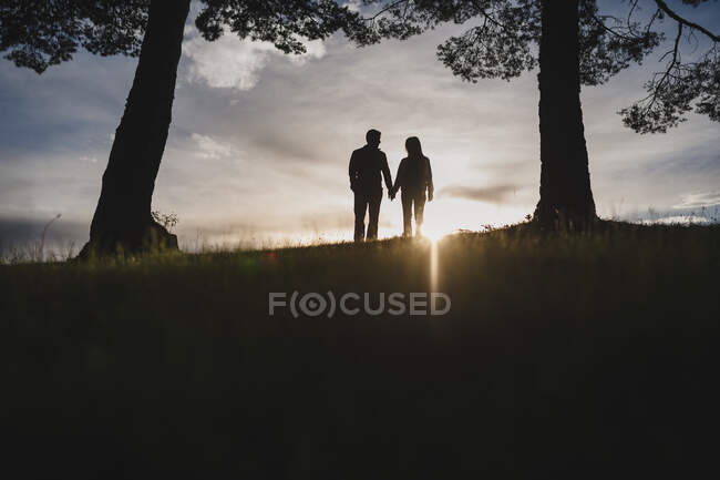 Silhouette of a couple kissing at dramatic sunset close to a tree — Stock Photo