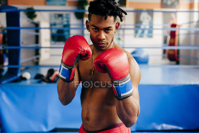 Боєць в рукавичках, що стоять на боксерському кільці — стокове фото