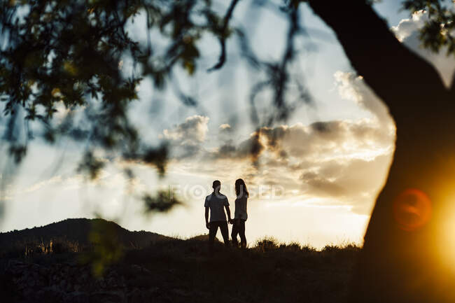 Silhueta de um casal caminhando ao pôr do sol cênico perto de uma árvore — Fotografia de Stock